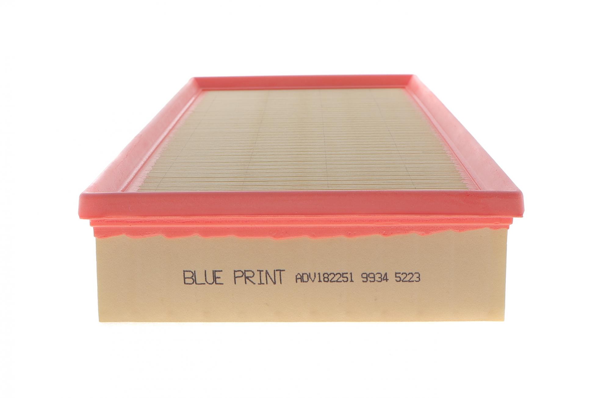 ADV182251 BLUE PRINT